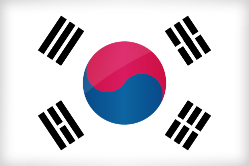 Large South Korean flag
