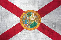 Florida Flag Metal Texture